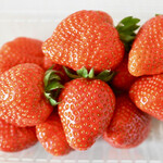 白華の郷 - おいCベリー