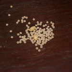 恵比寿　くろいわ - 