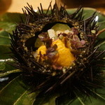 恵比寿　くろいわ - 舞鶴の海胆、かんばら胡瓜、こいも、イカそうめん和え