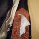 麺舎 ヒゲイヌ - BOXティッシュ