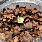 コミナセマコ - 