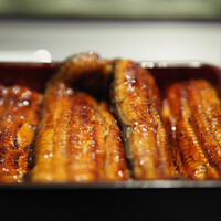 割烹蒲焼 横浜八十八 NEWoMan横浜店 -  割烹蒲焼 横浜八十八 NEWoMan横浜店 -