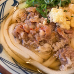 Marugame Seimen - 肉うどん アップ