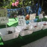 出山果樹園 - ２０１２年の試食