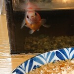 そば処 緑寿庵 - なぁ、おっちゃん  蕎麦ちょうだい！