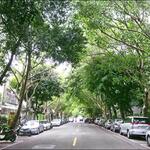 Fujin Tsuri - 台北：富錦街の街路樹
