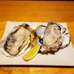 八重菊 - 兵庫県産 真牡蠣