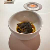 レフェルヴェソンス - 