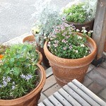 ブーランジェリー タカス - 