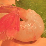 Hatsupou Sushi - 