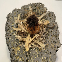 Installation Table ENSO L'asymetrie du calme - 