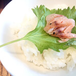 おいしい産業 - 料理写真: