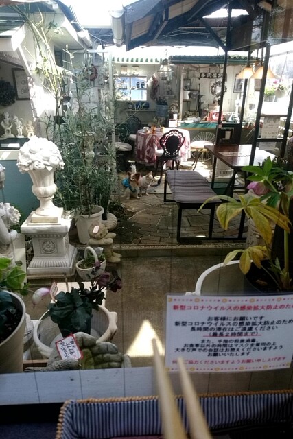 サニープレイスカフェ Sunny Place Cafe 小川町 喫茶店 食べログ サニープレイスカフェ Sunny Place Cafe 小川町 喫茶店 食べログ