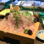 小川の魚 - 