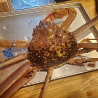 浅草じゅうろく - 津居山の松葉ガニ