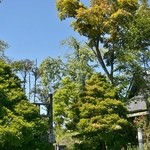 魚沼茶房 - お店様の全景です③(9/7UP)