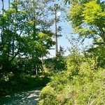 魚沼茶房 - お店様の入り口付近②です(9/7UP)