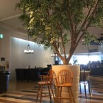 MOA cafe - 