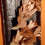 たま - 舞茸・・・残念・・・。