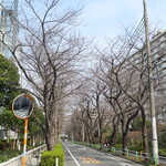 ラーメン二郎 - 春になれば桜がきれい