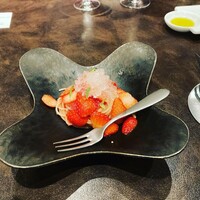 オッジ ダルマット 西麻布店 - 