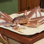 うを徳 - 男鹿半島本ズワイ　茹でガニ