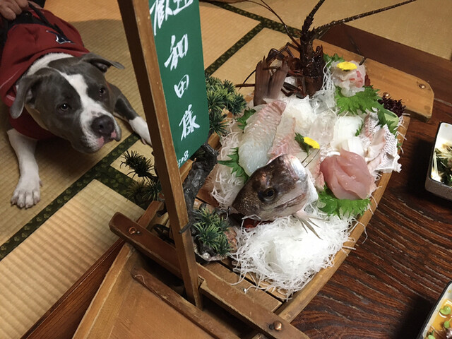 まつしん 二見浦 旅館 食べログ まつしん 二見浦 旅館 食べログ