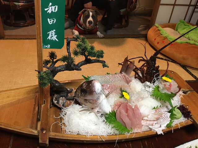 まつしん 二見浦 旅館 食べログ まつしん 二見浦 旅館 食べログ