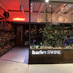 Barley Swine - 