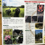 とんかつ 栄ちゃん - 