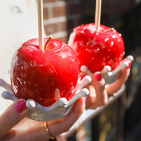 口コミ一覧 キャンディー アップル 代官山店 Candy Apple 代官山 その他 食べログ 口コミ一覧 キャンディー アップル 代官山店 Candy Apple 代官山 その他 食べログ