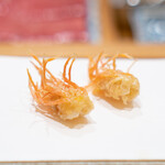 たきや - 車海老