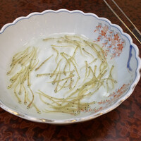 博多料亭 稚加榮 - 