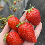 姫路ハートフル観光農園 - 