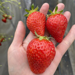 姫路ハートフル観光農園 - 