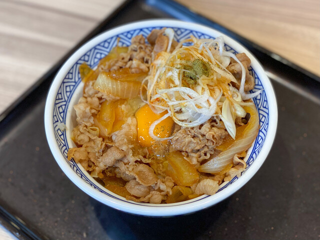 Yoshinoya Inazawa Shimozu Ten