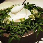 レスピラシオン - 