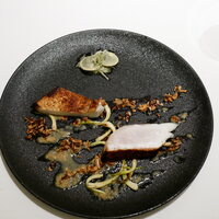 カンテサンス - 