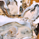 湘南バルはなたれ The Fish and Oysters - 