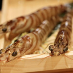 玄水 - 活車海老