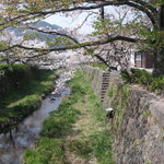 Rasenu - 店内からも見えます☆一ノ坂川