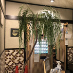 中華蕎麦 時雨 伊勢佐木長者町本店 - 