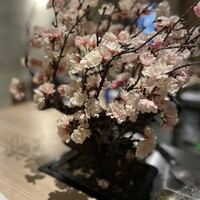 鉄板焼 grow 六本木店 - 