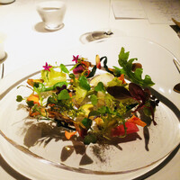 レフェルヴェソンス - 