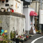 羽衣 こまち - 