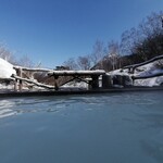 新野地温泉 相模屋旅館 - 
