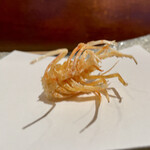 にい留 - 車海老　頭