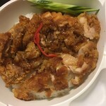 Thai Kitchen Kao Man Gai - 揚げ鳥グリーンカレーソース