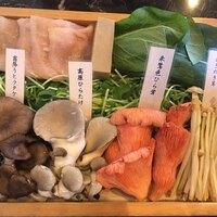 シャングリラズシークレット 銀座店 - 