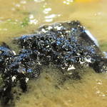 幸陽閣 - 海苔＆脂膜